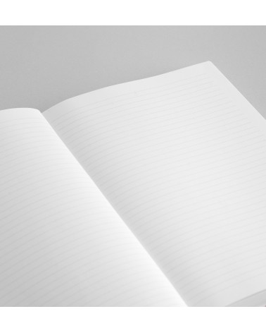 Quaderno RaccontaMi Vellutino